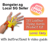 DIY leather Hot Flying Horse material product pack with instructions provided